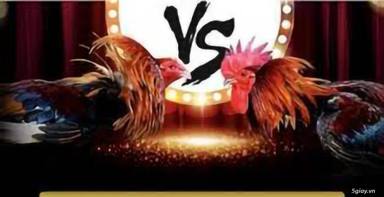 Khám Phá Sức Hút Của Đá Gà Vin777 Đấu Trường Bất Bại 2025