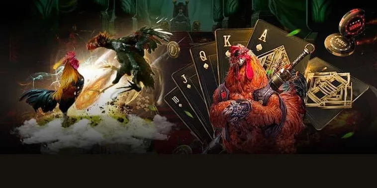 Chinh Phục Sảnh Đá Gà GA28 Tại Vin777 Với Chiến Thuật Bất Bại 1 Chinh Phục Sảnh Đá Gà GA28 Tại Vin777 Với Chiến Thuật Bất Bại