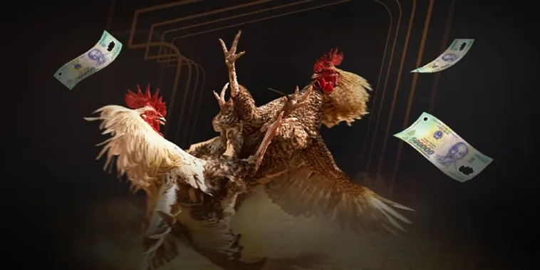 Khám Phá Sức Hút Của Đá Gà Vin777 Đấu Trường Bất Bại 2025